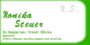 monika steuer business card